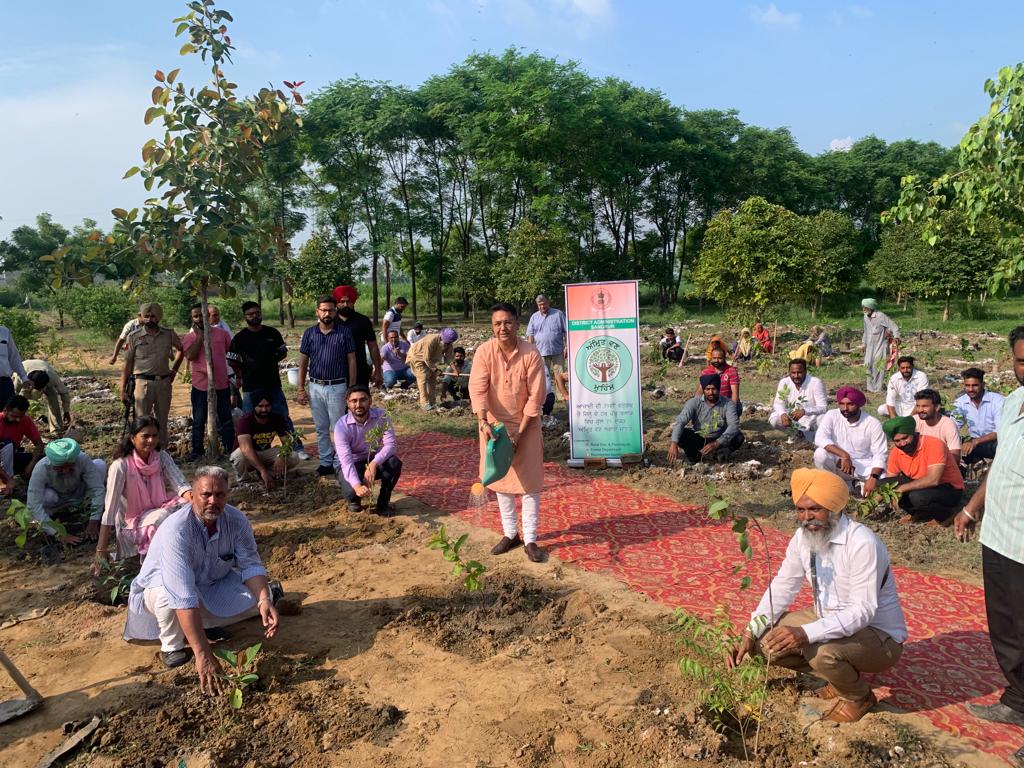 Aman Arora launches 'Amrit Van' campaign to afforest 600 acres of Panchayat land in Sangrur district