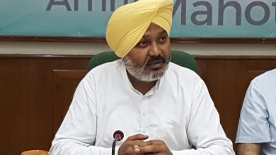 All eligible contractual employees of Punjab Government will get good news soon: Cheema