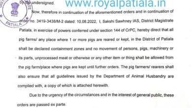 To control African swine fever in Patiala DC issues late night precautionary orders