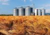 FCI to construct silos at 249 locations in Punjab, Haryana, UP amongst other states-Photo courtesy-Internet