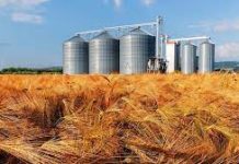 FCI to construct silos at 249 locations in Punjab, Haryana, UP amongst other states-Photo courtesy-Internet