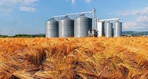 FCI to construct silos at 249 locations in Punjab, Haryana, UP amongst other states-Photo courtesy-Internet
