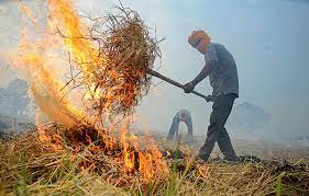 Hike in stubble burning cases: CM Mann suspends four officials for dereliction of duty-Photo courtesy-Internet
