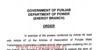 Punjab govt extends PSTCL Director’s term