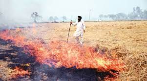 Fire cases reduced by 30 percent this time compared to last year: Meet Hayer-Photo courtesy-Internet 