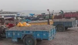 Transportation rates fixed by transport department for minor minerals: Laljit Singh Bhullar-Photo courtesy- Google
