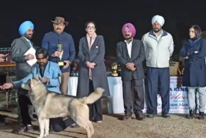 Patiala Heritage Festival-230 dogs from 40 breeds from pan India participated in Patiala Kennel Club’s Dog Show