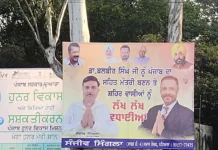 Defying NGT orders, violators display advertisements on trees; forest department, district administration Patiala fails to check