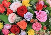 February 7 is a day of “Queen of Flowers”-Puri