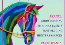 Stage set for Horse Show at Royal City Patiala