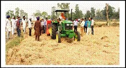 Paddy residue burning-IIM to assess paddy residue management initiatives in Punjab, Haryana, and Uttar Pradesh
