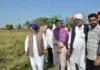 Punjab government will compensate for the loss of farmers; Jouramajra visits the villages to assess crop damage