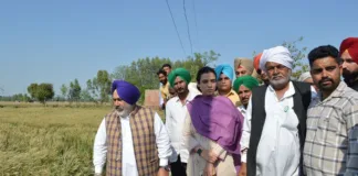 Punjab government will compensate for the loss of farmers; Jouramajra visits the villages to assess crop damage
