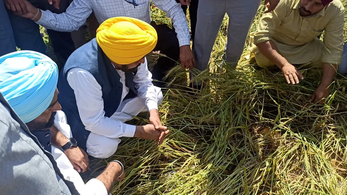 CM announces 25 percent enhancement in compensation for crop loss