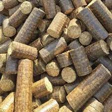 To save trees “Green Cremation” initiative launched by Punjab pollution control board-Not briquettes used in today's cremation
