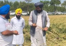 Agriculture minister Kuldeep Singh Dhaliwal inspects crop damage in Ghanour and Rajpura constituency