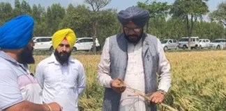 Agriculture minister Kuldeep Singh Dhaliwal inspects crop damage in Ghanour and Rajpura constituency