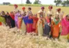 Traditional fervor marks Baisakhi celebrations at Scholar fields Public School Patiala