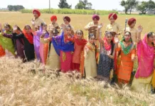 Traditional fervor marks Baisakhi celebrations at Scholar fields Public School Patiala