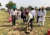 Sri Guru Granth Sahib World University establishes Sri Guru Hari Rai Ji Botanical Garden