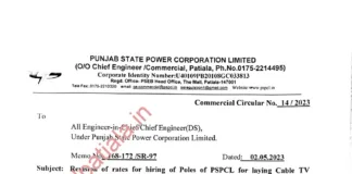 Powercom increases 5 percent charges for hiring PSPCL poles