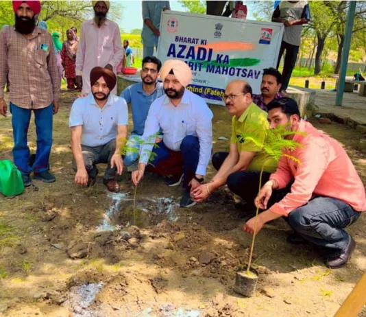 ਵਿਸ਼ਵ ਵਾਤਾਵਰਣ ਦਿਵਸ ਮੌਕੇ ਪਿੰਡ ਸੰਗਤਪੁਰ ਸੋਢੀਆਂ ਵਿਖੇ ਏ.ਡੀ.ਸੀ. ਧਾਲੀਵਾਲ ਨੇ ਬੂਟੇ ਲਗਾਏ