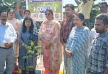 Celebration of World Environment Day at government Bikram College of Commerce Patiala