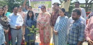 Celebration of World Environment Day at government Bikram College of Commerce Patiala