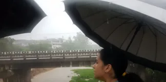 Seasonal rivulets in Patiala districts crosses, crossing danger mark; local Patiala city is safe