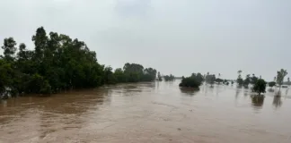 19 out of 23 districts still affected by flood; relief efforts in flood affected areas on war footing-Punjab Govt