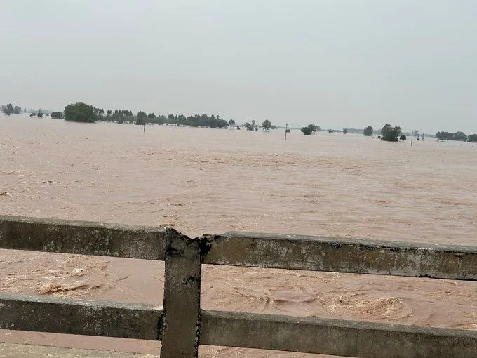 19 out of 23 districts still affected by flood; relief efforts in flood affected areas on war footing-Punjab Govt