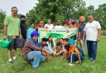 Rotary Club Rupnagar organises tree plantation drive