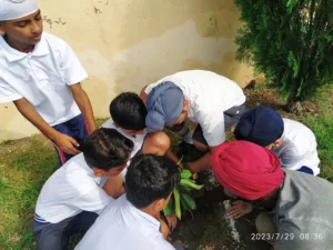 Police DAV Public School Patiala organised a Tree Plantation Drive 
