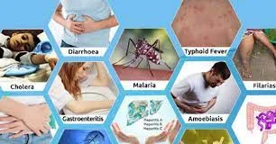 In wake of floods, health dept issues advisory, do’s-don’ts to save people from infectious diseases-Photo courtesy-Live Chennai