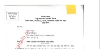 Punjab govt orders DCs to do wardbandi of Gram Panchayats
