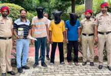 Patiala police arrests 3 members’ gang committing robberies by using dating App Tinder