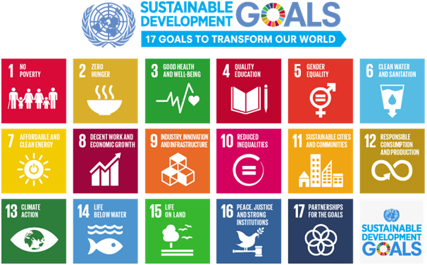 United Nations’ Sustainable Development Goals: Broken Dreams or a Brighter Future?-Yadav