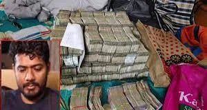 Performing at a big fat wedding of a juice bar owner turned fraudster lands Bollywood celebs in ED radar-Photo courtesy- Google Photos