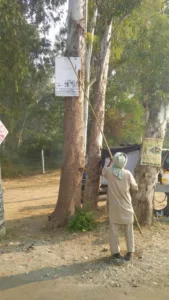 royalpatiala.in News Impact: forest department issues notices to advertisers for nailing advertisements on trees in Patiala