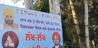 Defying NGT orders, Illegal hoardings, banners nailed to trees in Patiala, authorities fail to check, take action against offenders