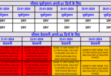 IMD issues Red alert with ‘Cold days’, dense fog warning in Punjab