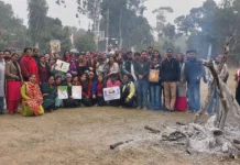 ‘Dheeyan di lohri’ Celebrated at Govt. College of Education, Chandigarh