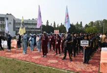 NITTTR Chandigarh hosts 14th Inter-NITTTR Sports Meet: A Celebration of Athletic Excellence