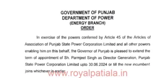 Punjab govt again extends PSPCL director’s term for a limited period