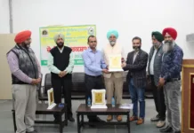 Empowering Forest Department Employees: MRSPTU Hosts Computer Literacy Workshop