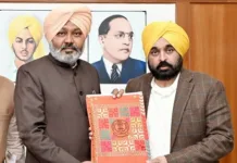 Punjab Budget Highlights 2024-25