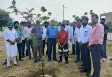 Hemophilia Day at AIIMS Bathinda: Haemophilic children planted tree, doctors shared rehabilitation methods