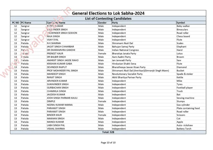 169 candidates now owners of Petrol pump, ship, road roller, crane etc for 2 weeks; ECI allots election symbols