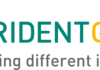 Trident Ltd announces Q1 financial results with growth of 2.94 % in sequential quarter and 18.36 % in corresponding quarter