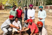 Punjabi University Environment Society celebrated World Environment Day